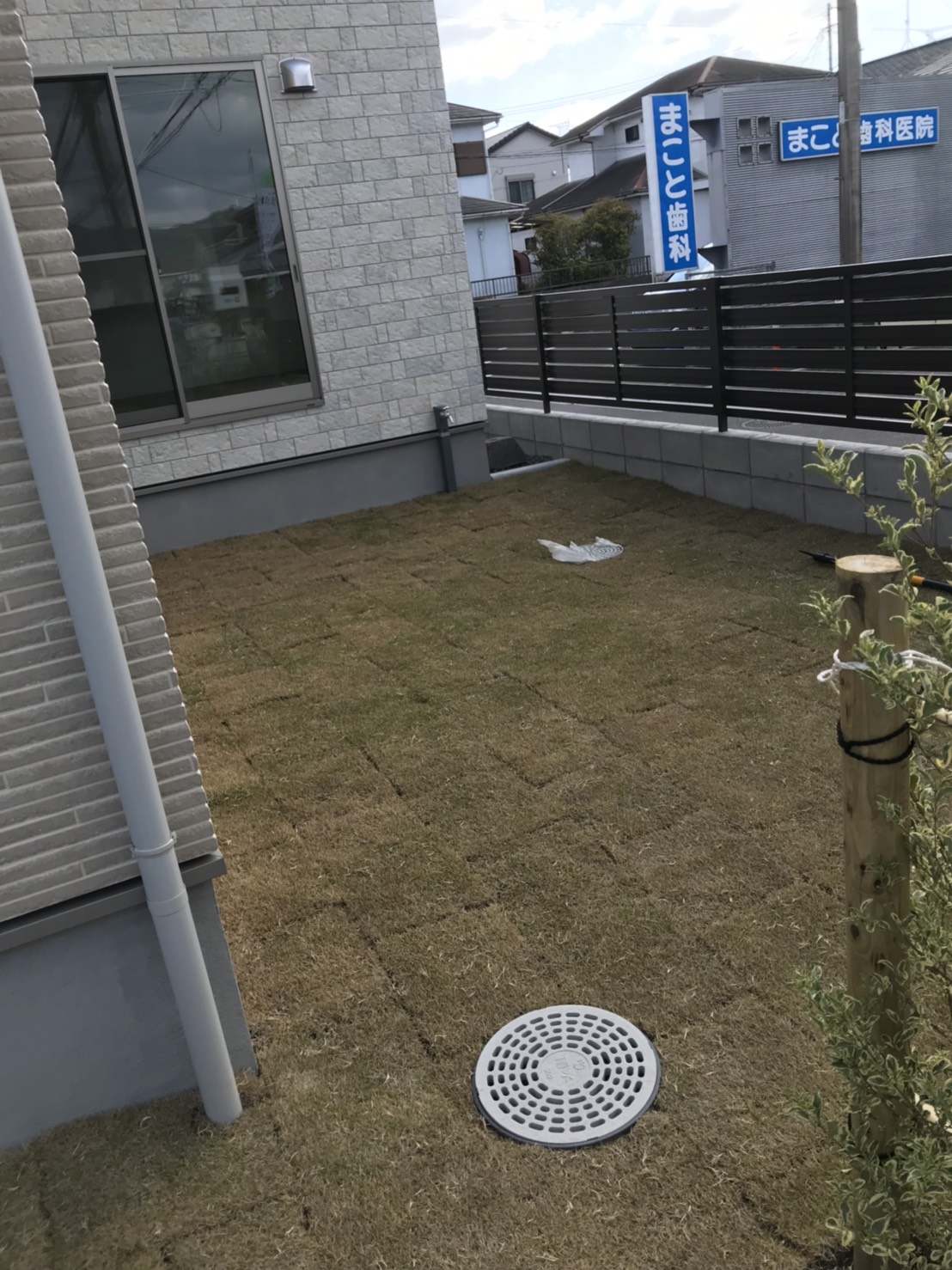 ビフォー