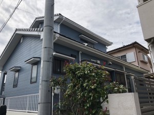 IMG_1487