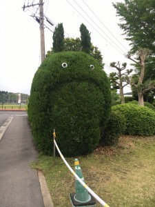 ウォーキング中に見つけたトトロ！？(^^)/