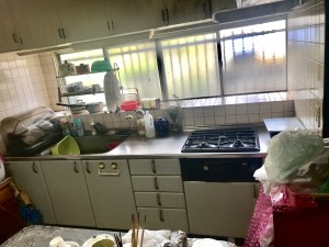 IMG_E1121[1]
