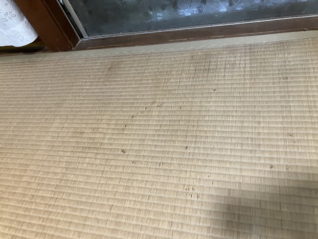 ビフォー